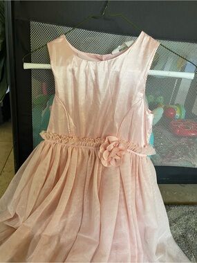 H&M Pale Pink Shimmer Flower Waist Tulle Dress